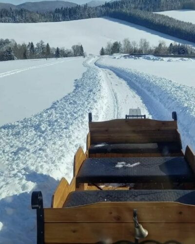 WhatsApp Image 2026-01-30 at 08.30.39